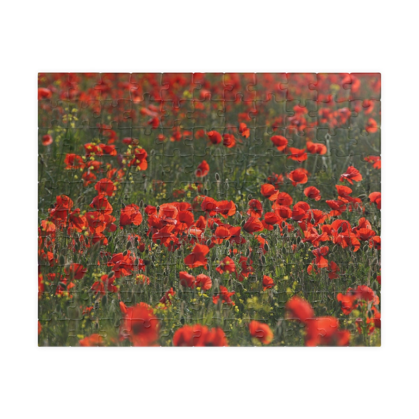 Puzzle Champ de coquelicots – Hommage au jour du Souvenir