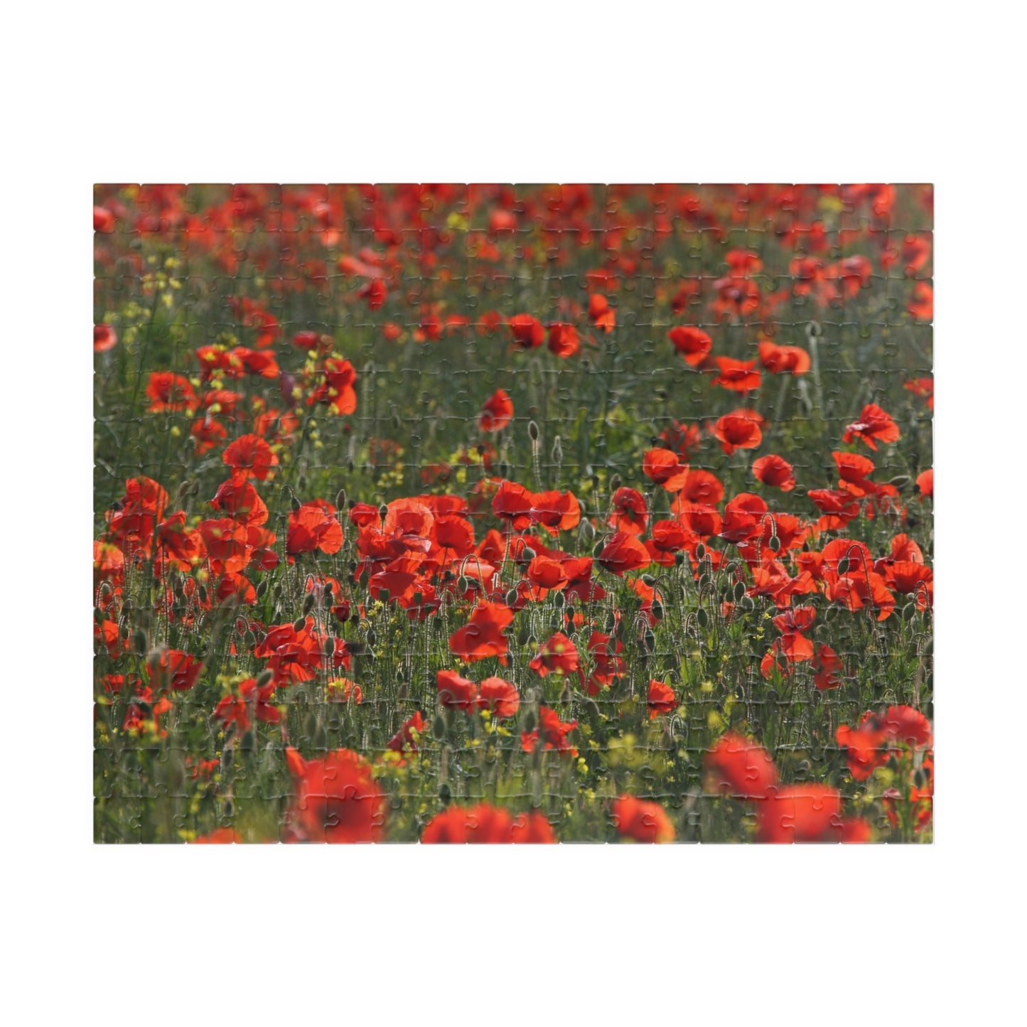Puzzle Champ de coquelicots – Hommage au jour du Souvenir