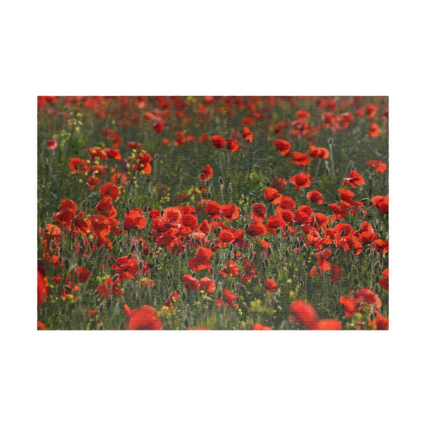 Puzzle Champ de coquelicots – Hommage au jour du Souvenir